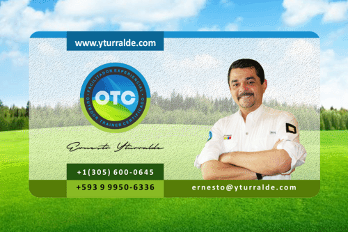 Ernesto Yturralde Business Card